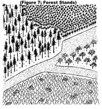 Figure 7: Forest Stands